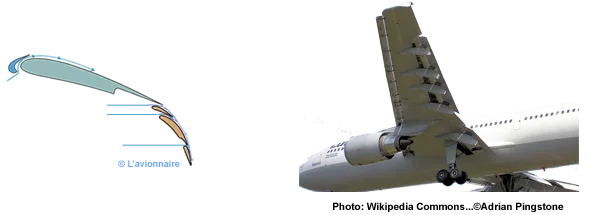 Becs et volets avec couche limite