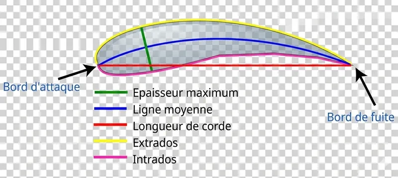 Profil d'aile détaillé