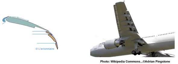 Becs et volets — effet sur la couche limite