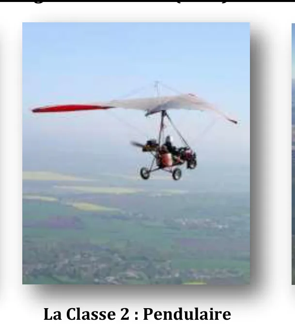 Pendulaire — ULM classe 2