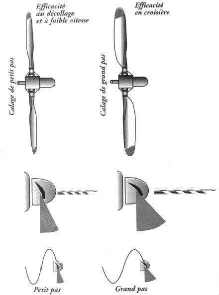 Les différents types d'hélices — bipale et tripale