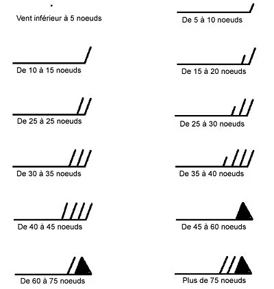 Symboles de vent sur les cartes WINTEM : barbules et lecture de la vitesse en nœuds