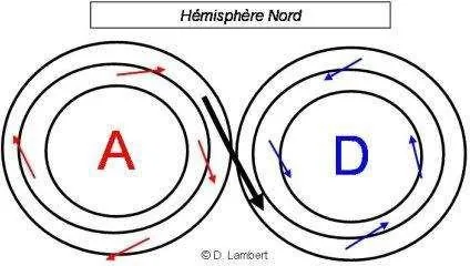 Circulation des vents autour d'un anticyclone et d'une dépression dans l'hémisphère Nord