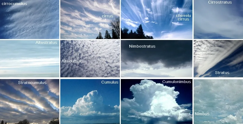 Classification des nuages par étage : élevé, moyen, bas et développement vertical