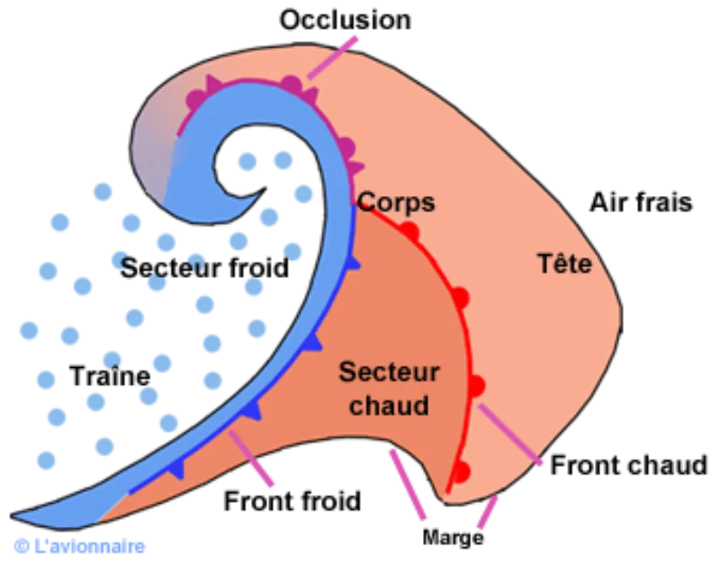 Anatomie d'une perturbation : tête, corps, traîne, marge, secteur chaud, secteur froid