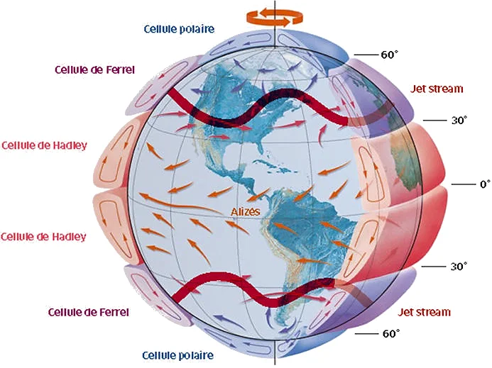 Cellules de convection atmosphérique (Hadley, Ferrel, polaire), alizés et jet-stream sur globe terrestre
