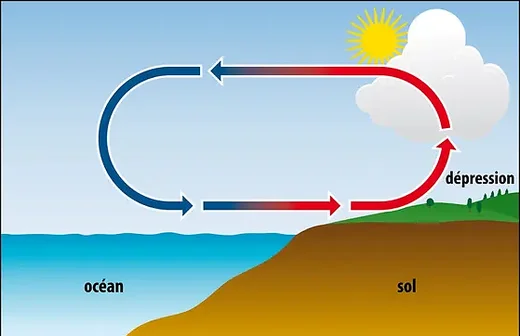 Brise de mer de jour : l'air chaud s'élève au-dessus du sol, l'air frais de l'océan le remplace au niveau de la dépression côtière