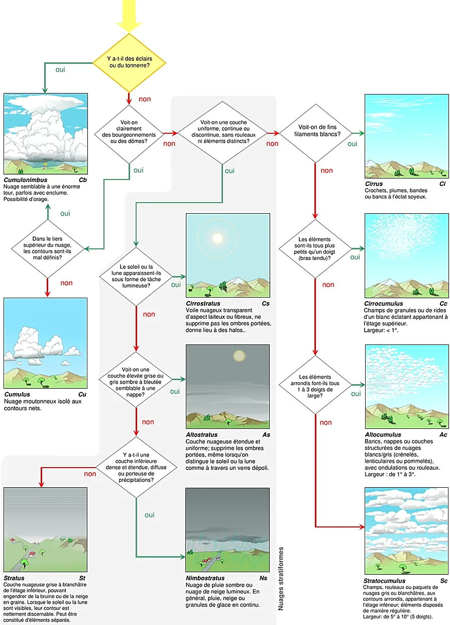 Clé d'identification des 10 genres de nuages